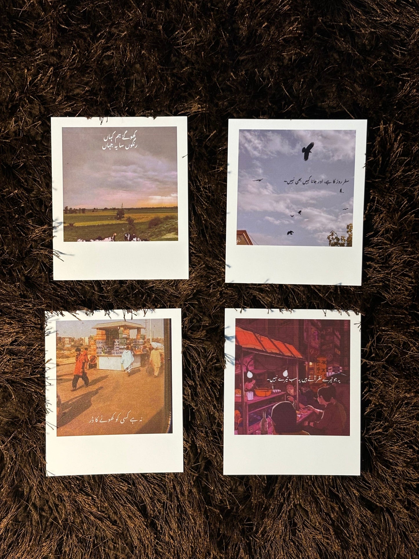 polaroids
