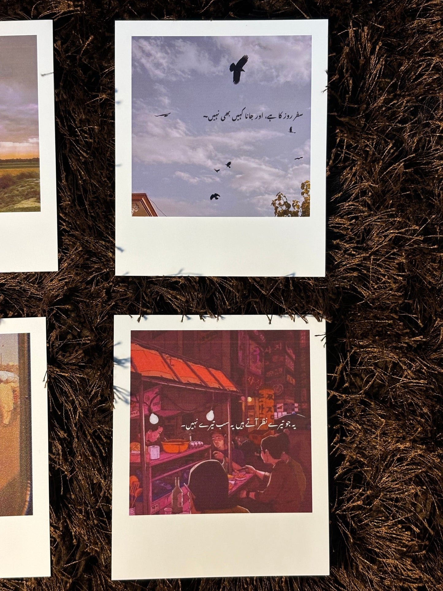 polaroids
