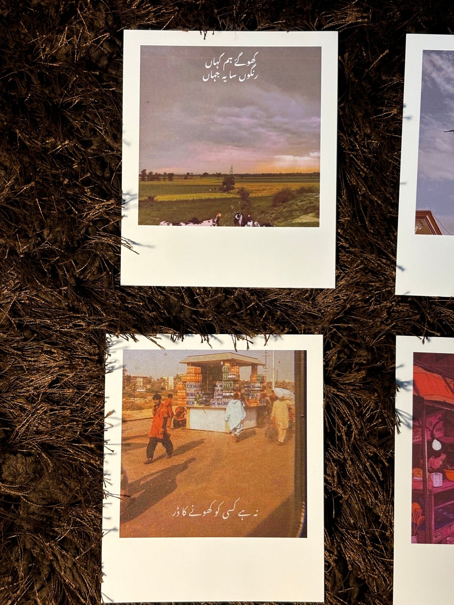 polaroids