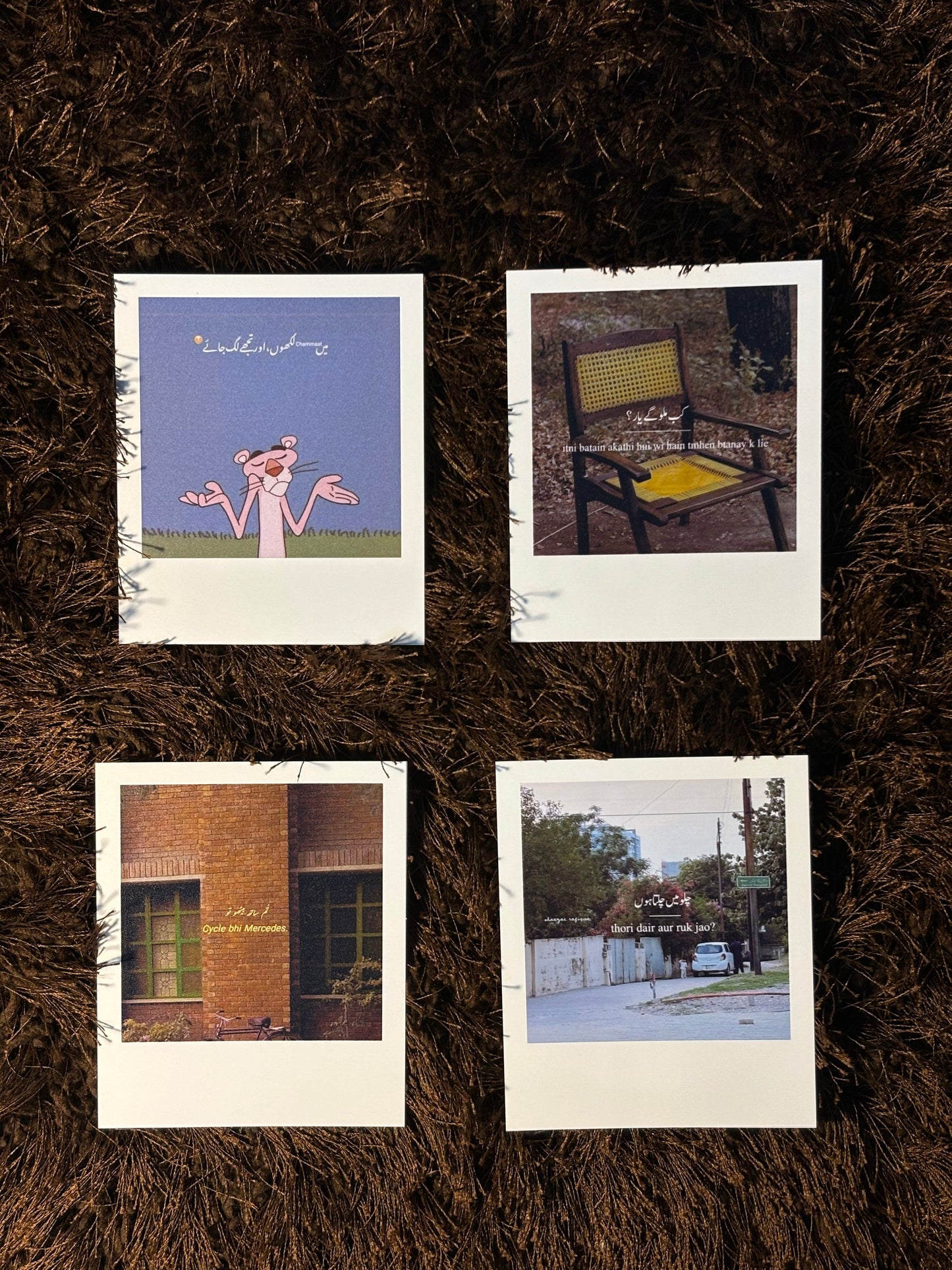 polaroids