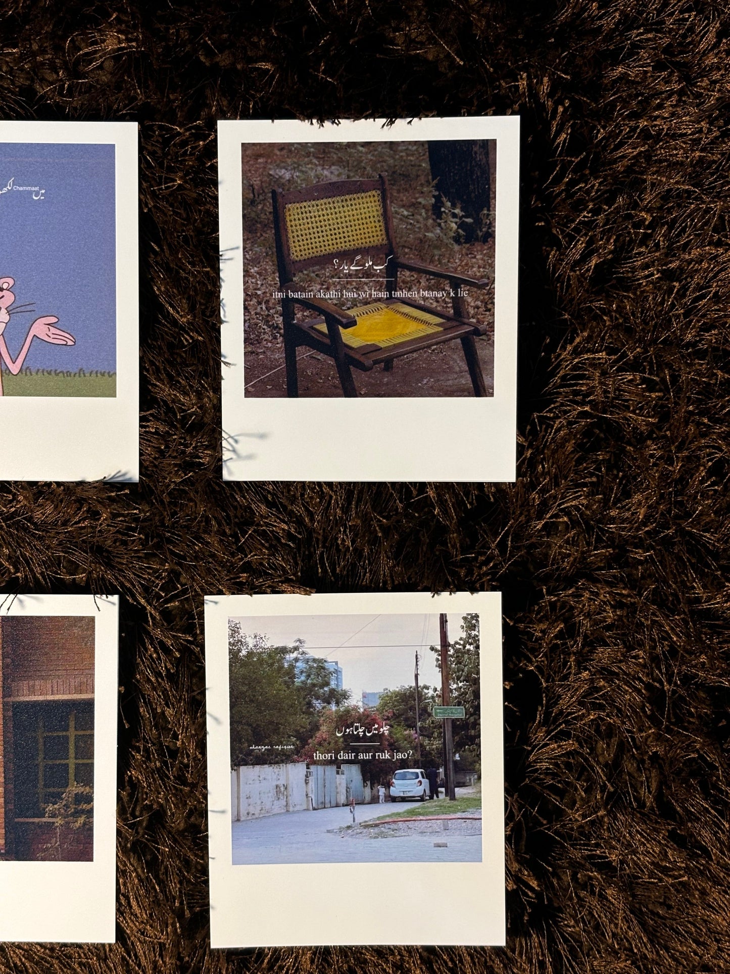 polaroids