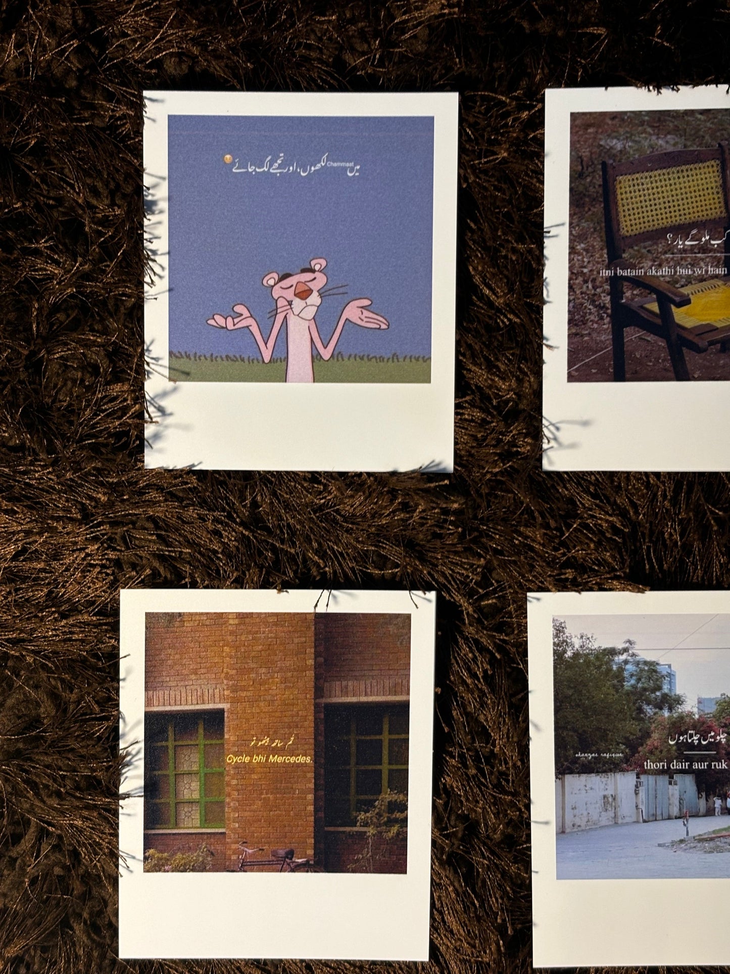 polaroids