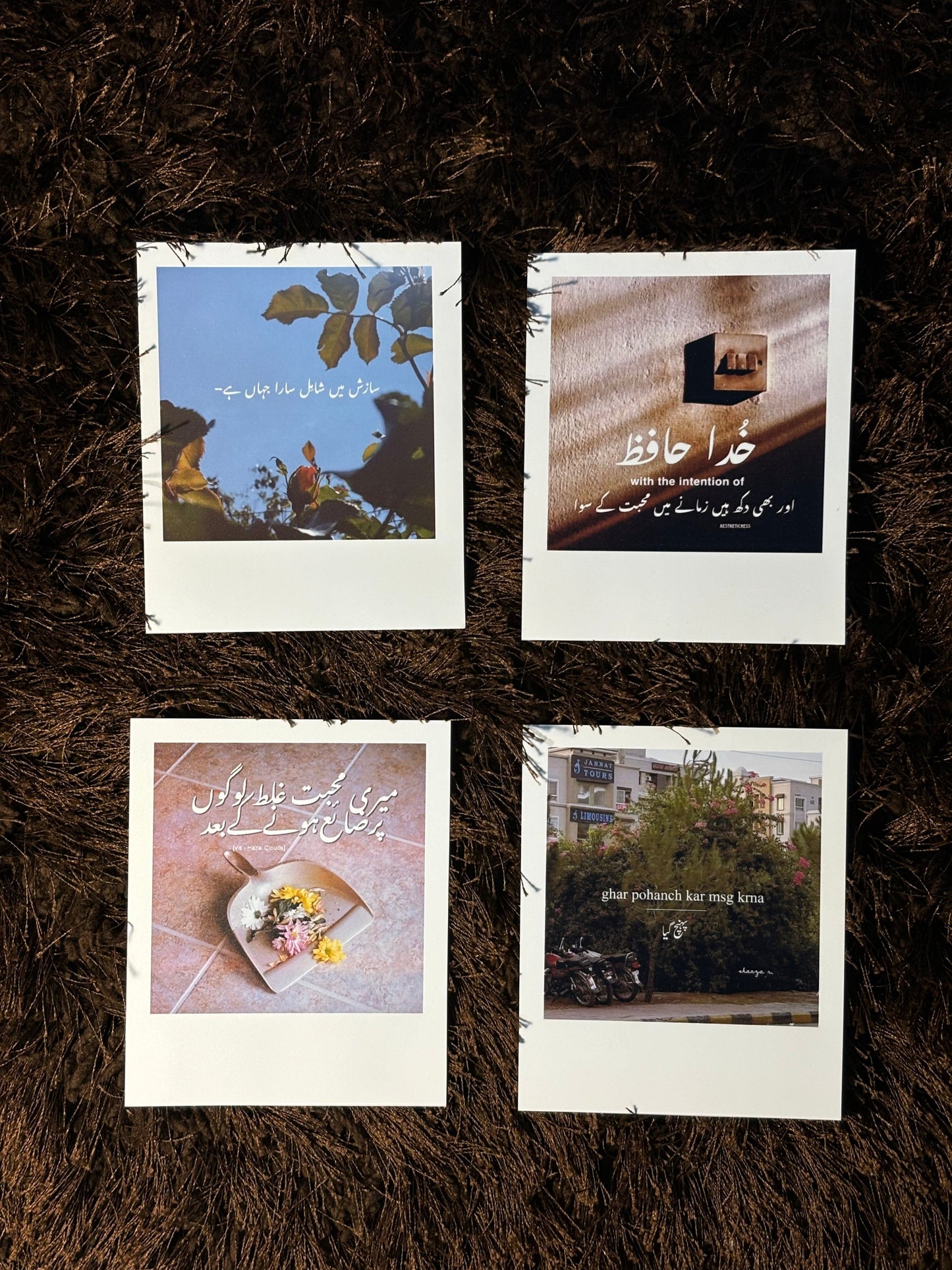 polaroids
