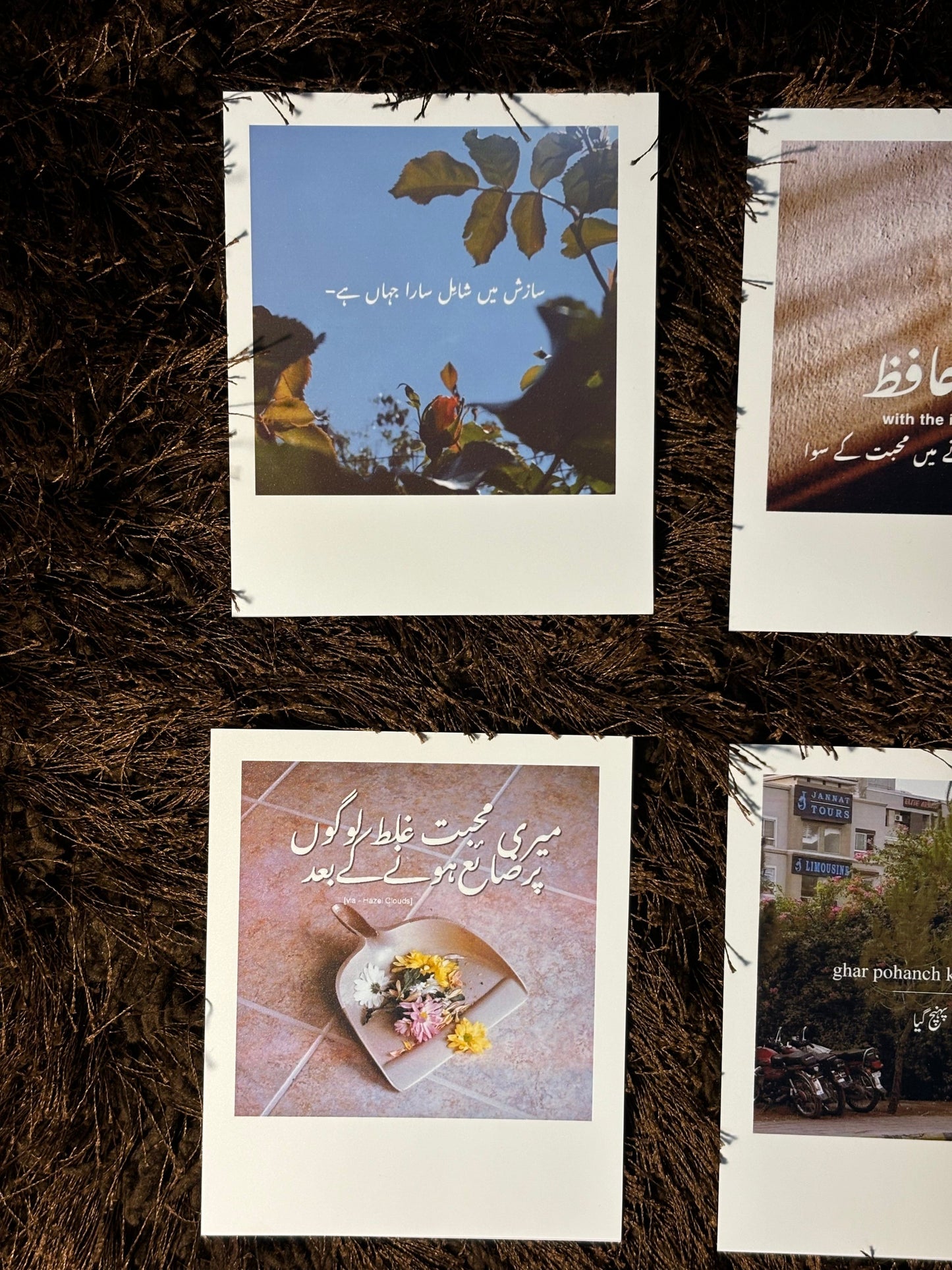 polaroids