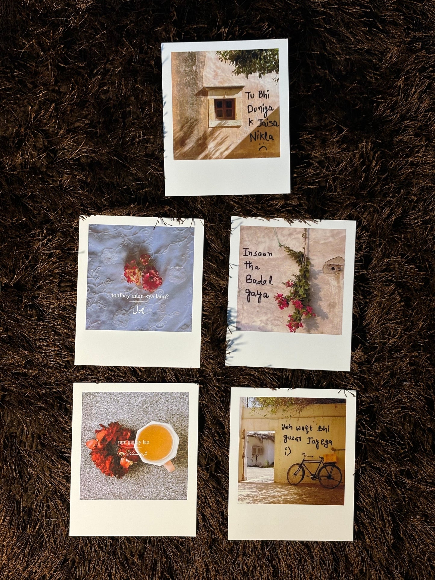 polaroids