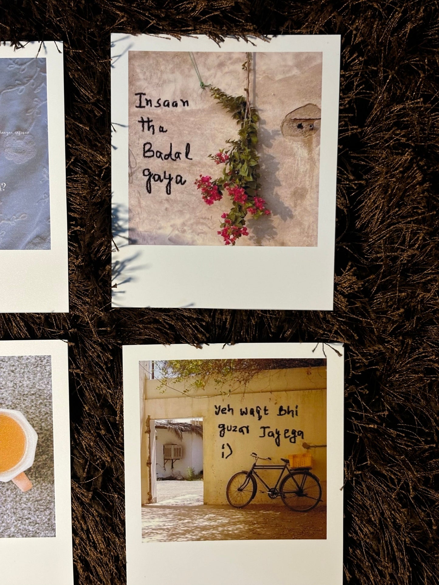 polaroids