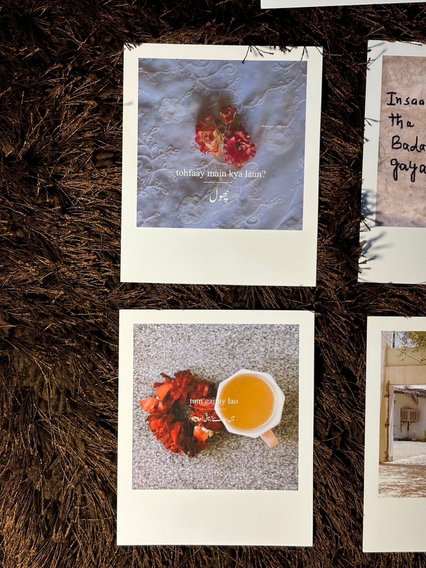 polaroids