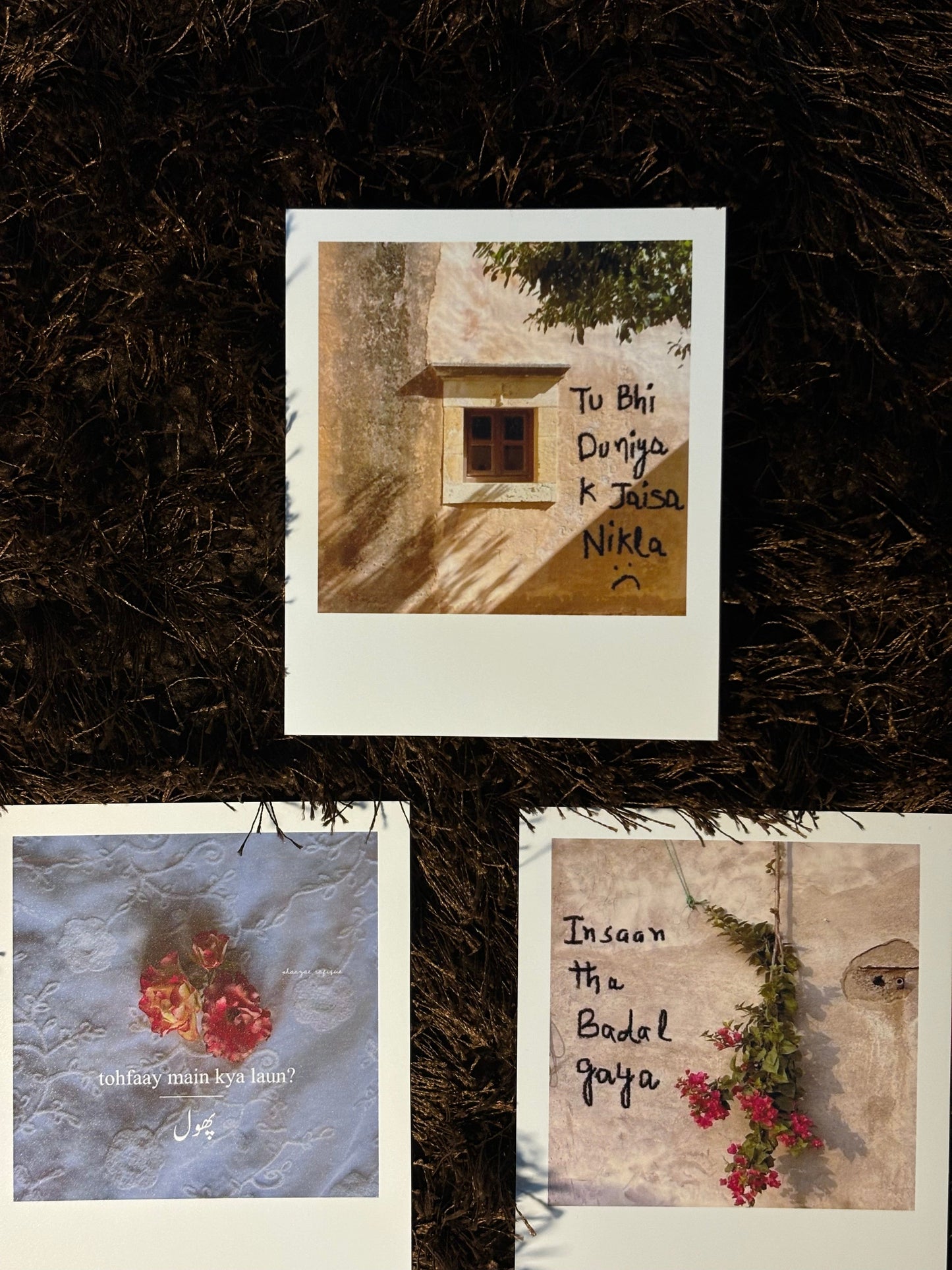 polaroids