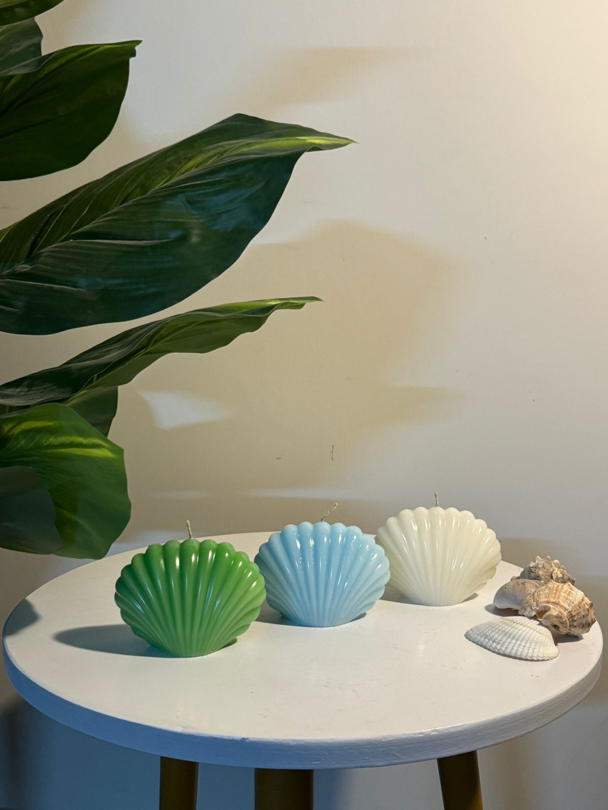 seashell candle