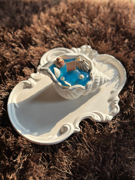 shell candle with transparent inside